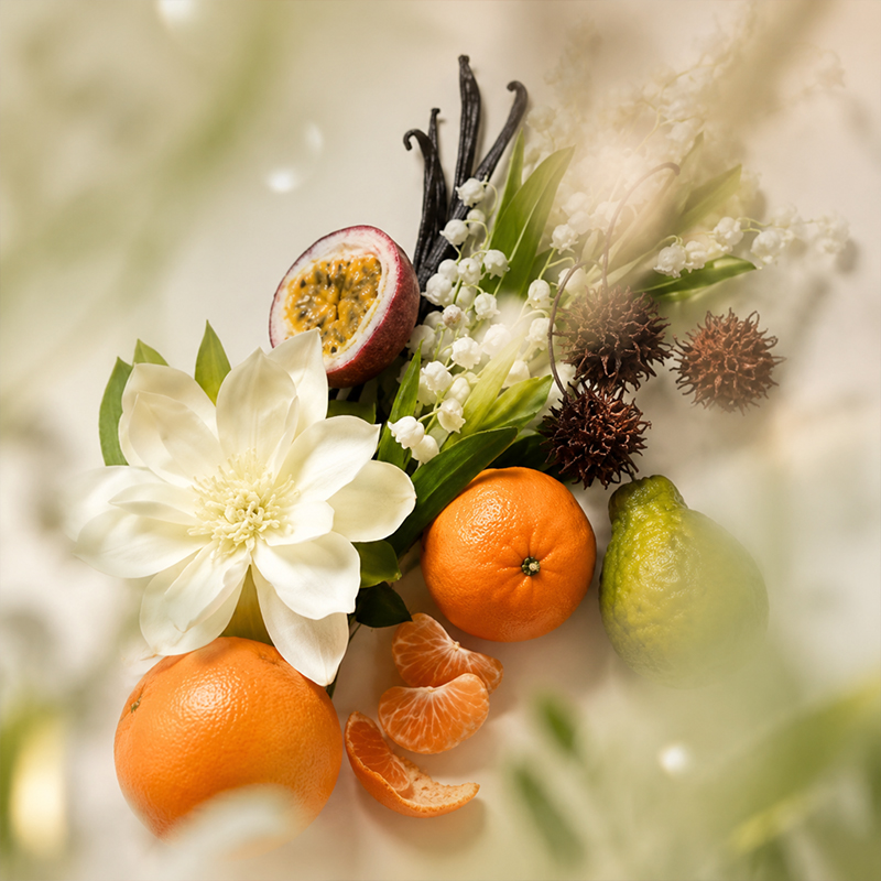 Home Perfume